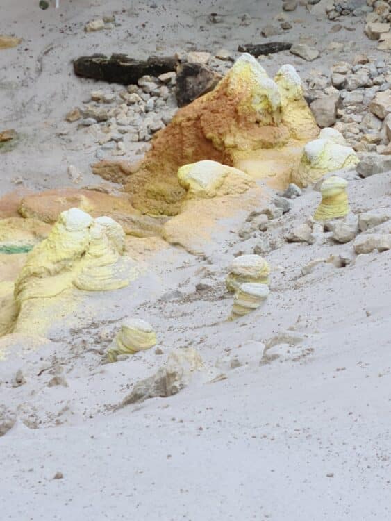 20210827_150924_resized