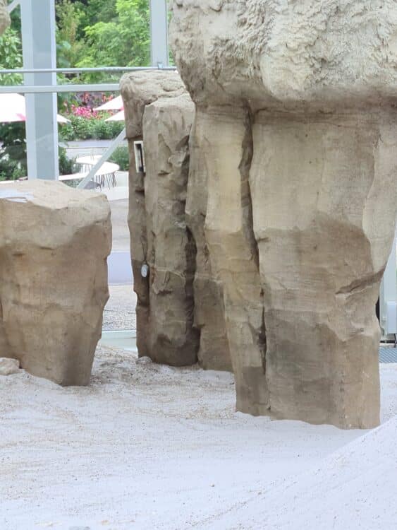 20210827_150934_resized