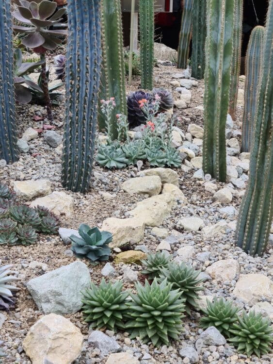 20210827_151308_resized