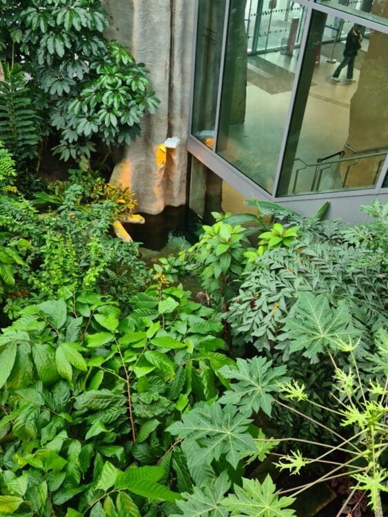 20210827_151733_resized