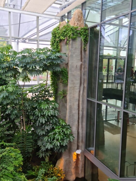 20210827_151744_resized