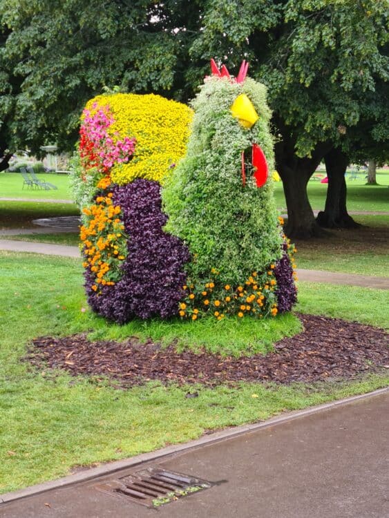 20210827_152210_resized